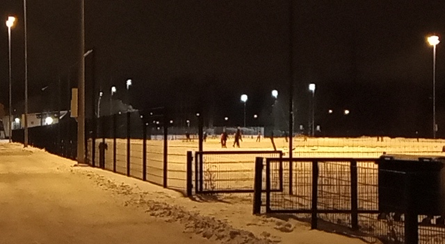Ice skaters on a field.